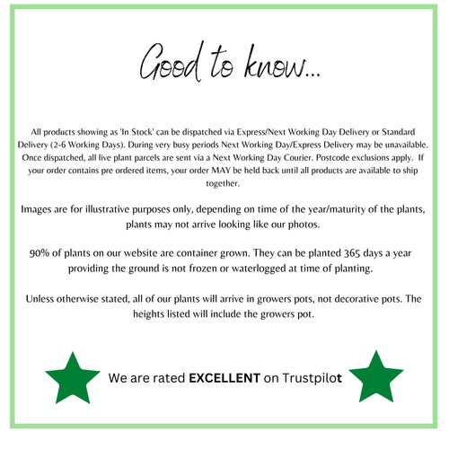 WeareratedEXCELLENTonTrustpilot_4_1452b3a0-a2ce-4a79-a354-6851d9e1dd6a.png