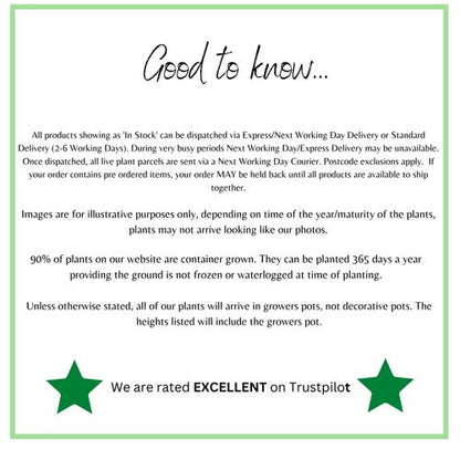 WeareratedEXCELLENTonTrustpilot_4_1452b3a0-a2ce-4a79-a354-6851d9e1dd6a.png